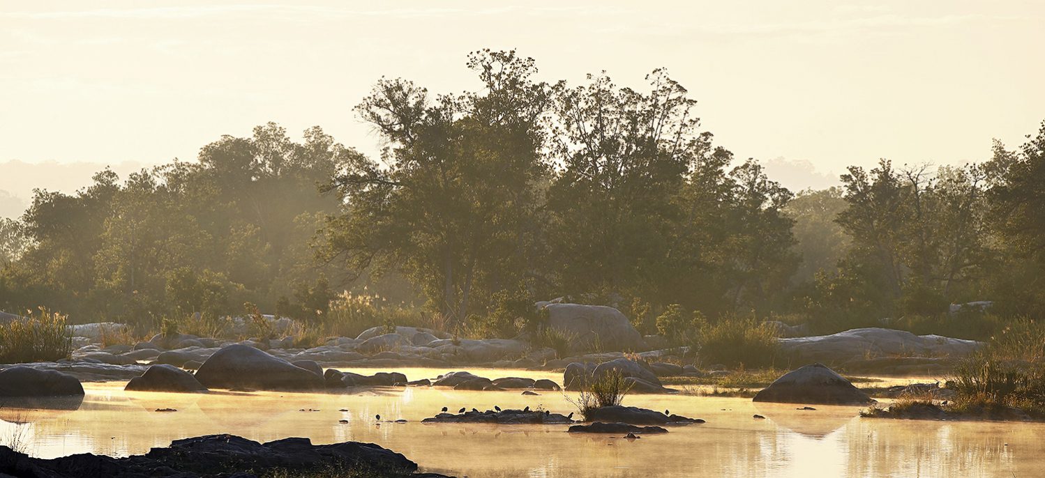 Londolozi Learning Journey