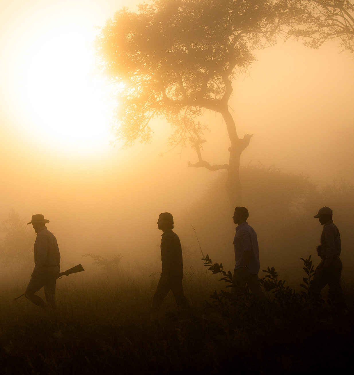 Londolozi Safari Experience Tracking | Boyd Varty